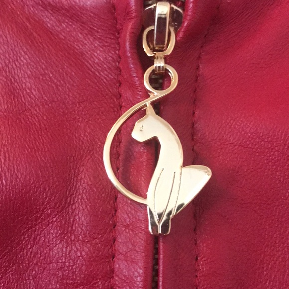 Jacket - Picture 12 of 16